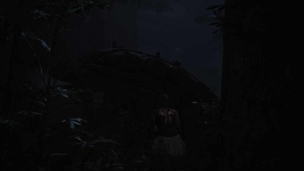 Volgin_77's tweet photo. #fatalframeremake https://t.co/LuXRVk6Xpx