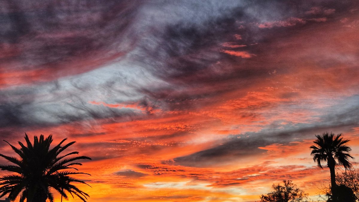 Bill Meier tweet media