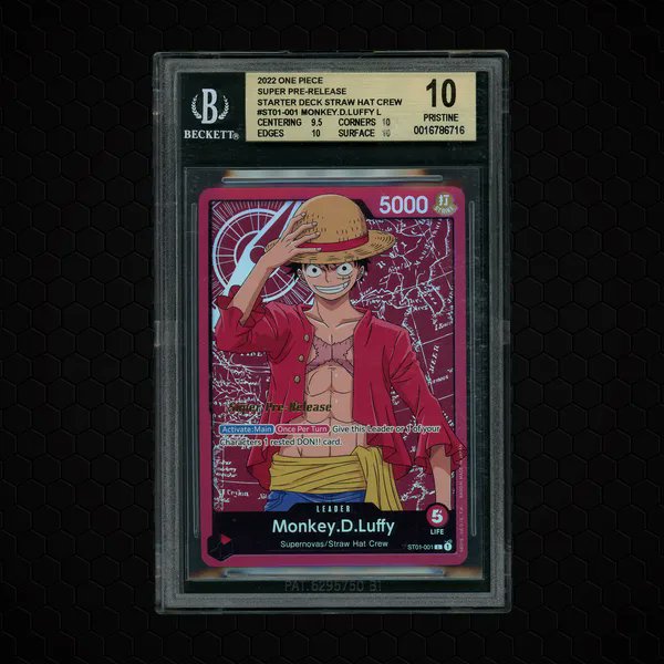 DachshundWizard 🧙♂️ tweet media