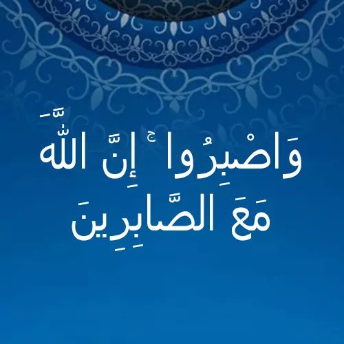 مصطفى tweet media