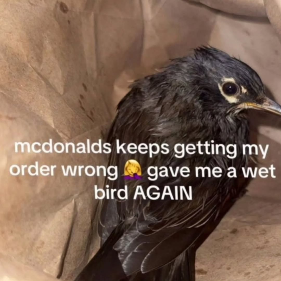 i drink soup tweet media