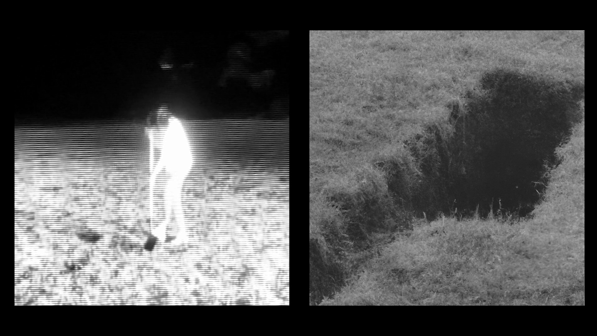 david c. porter (read NTTN) tweet media