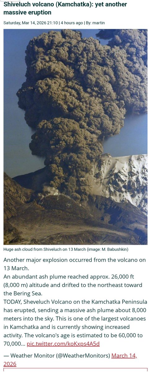 Matthew Templeton tweet media