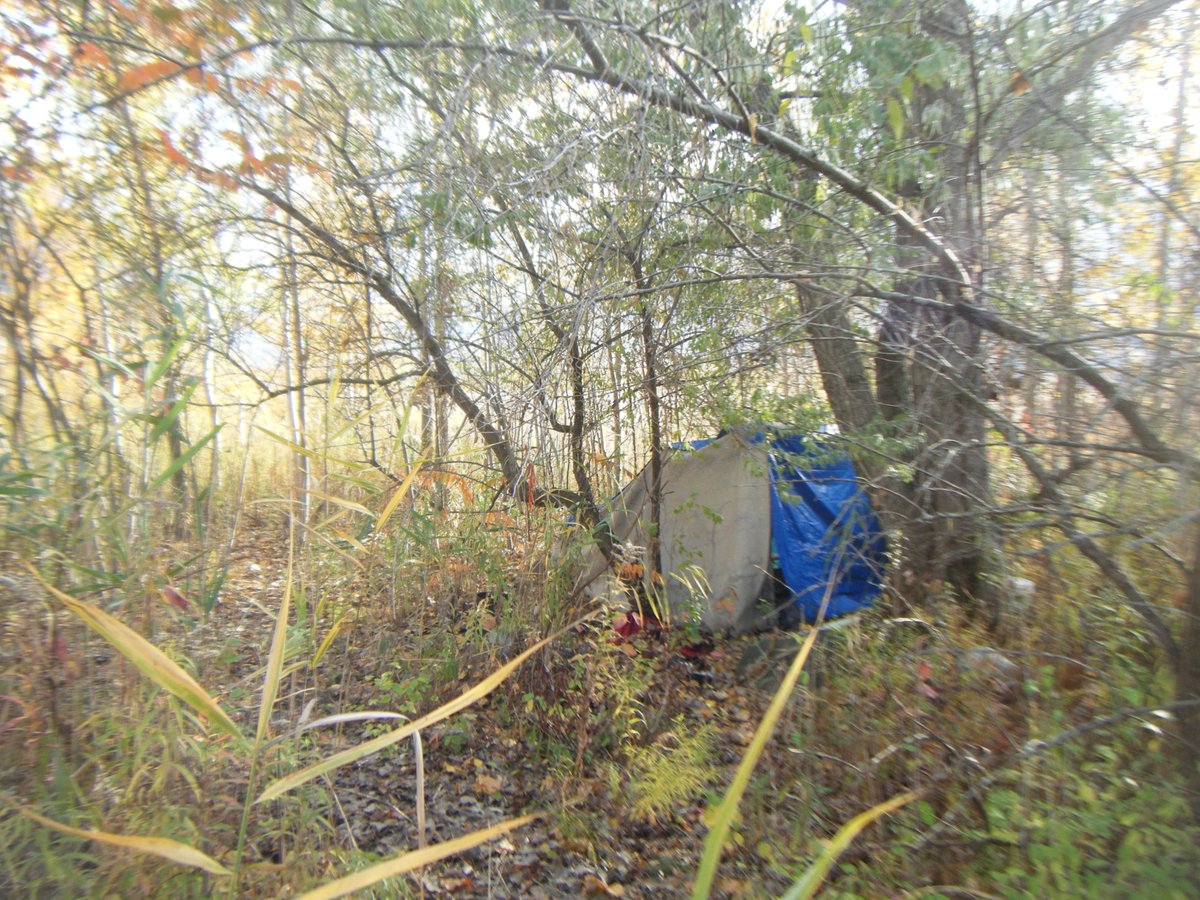 noemiemakesmaps's tweet image. that one time i was kinda ODing and went into the woods without my phone and only my camera and stumbled upon this homeless guy's tent #awkward