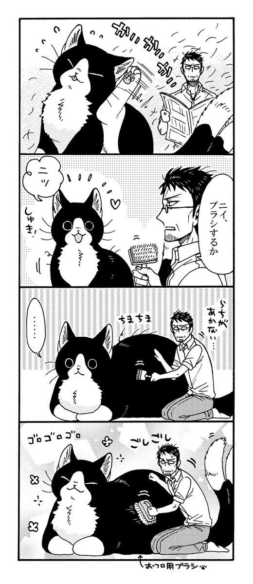 でっかい猫又と春のブラッシング🌷 