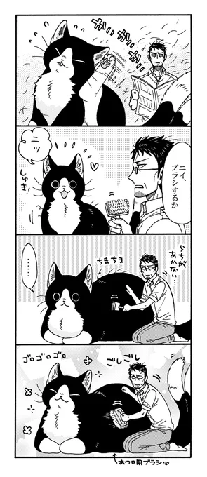 でっかい猫又と春のブラッシング🌷 