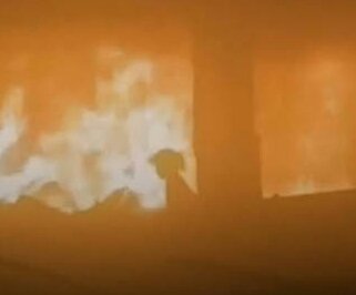 ¿Te lo recuerdo, sabandija?