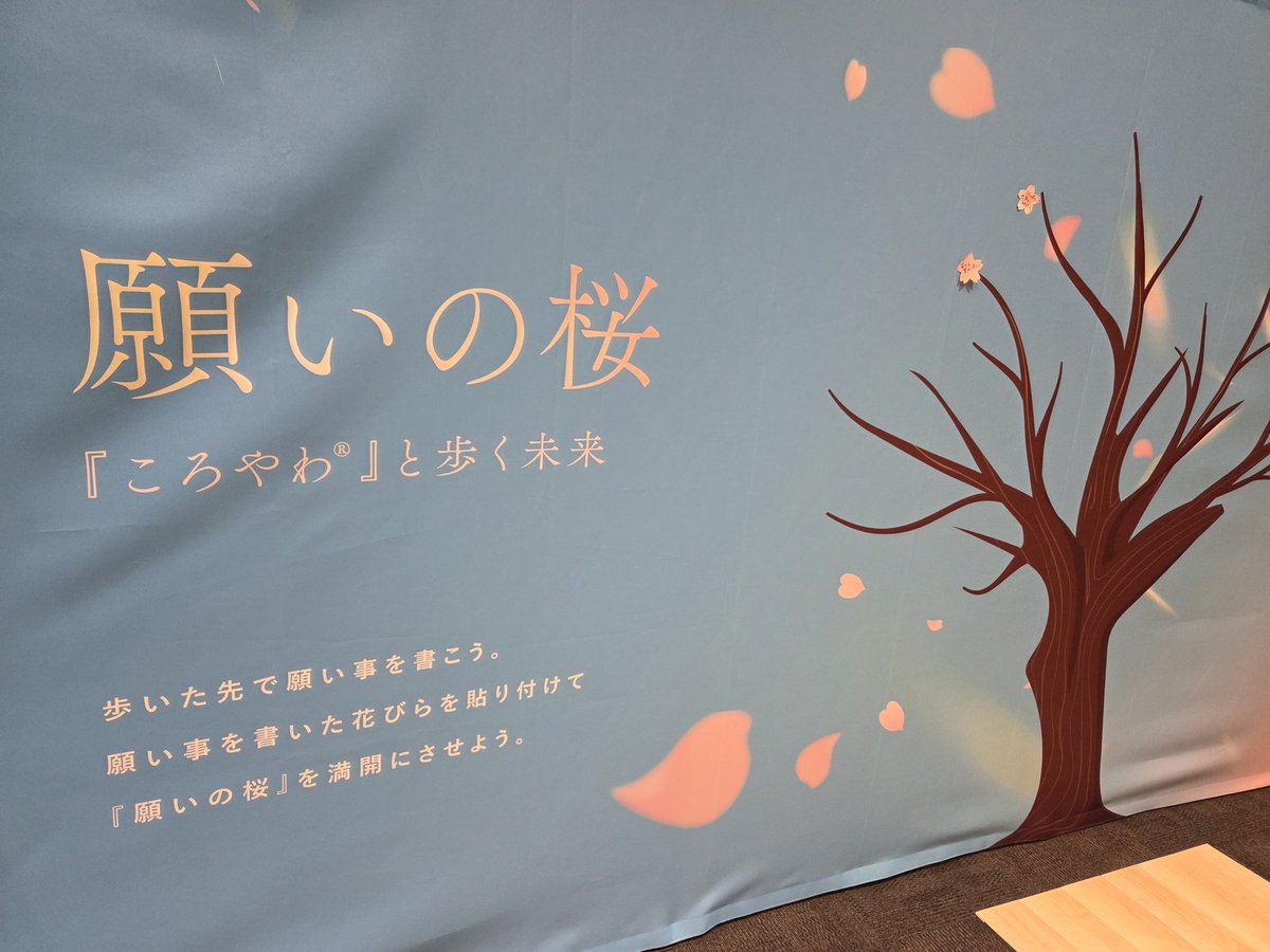 ManabuMotoki's tweet photo. 福祉と建築『社会的処方EXPO』にて『ころやわ』ブース展開してます!
『ころやわ』と歩く未来をテーマに、願いの桜を満開にする企画を実施中。お近くの方、是非お越しください😄

#社会的処方EXPO #福祉と建築 #ころやわ https://t.co/74HSVKPuGD