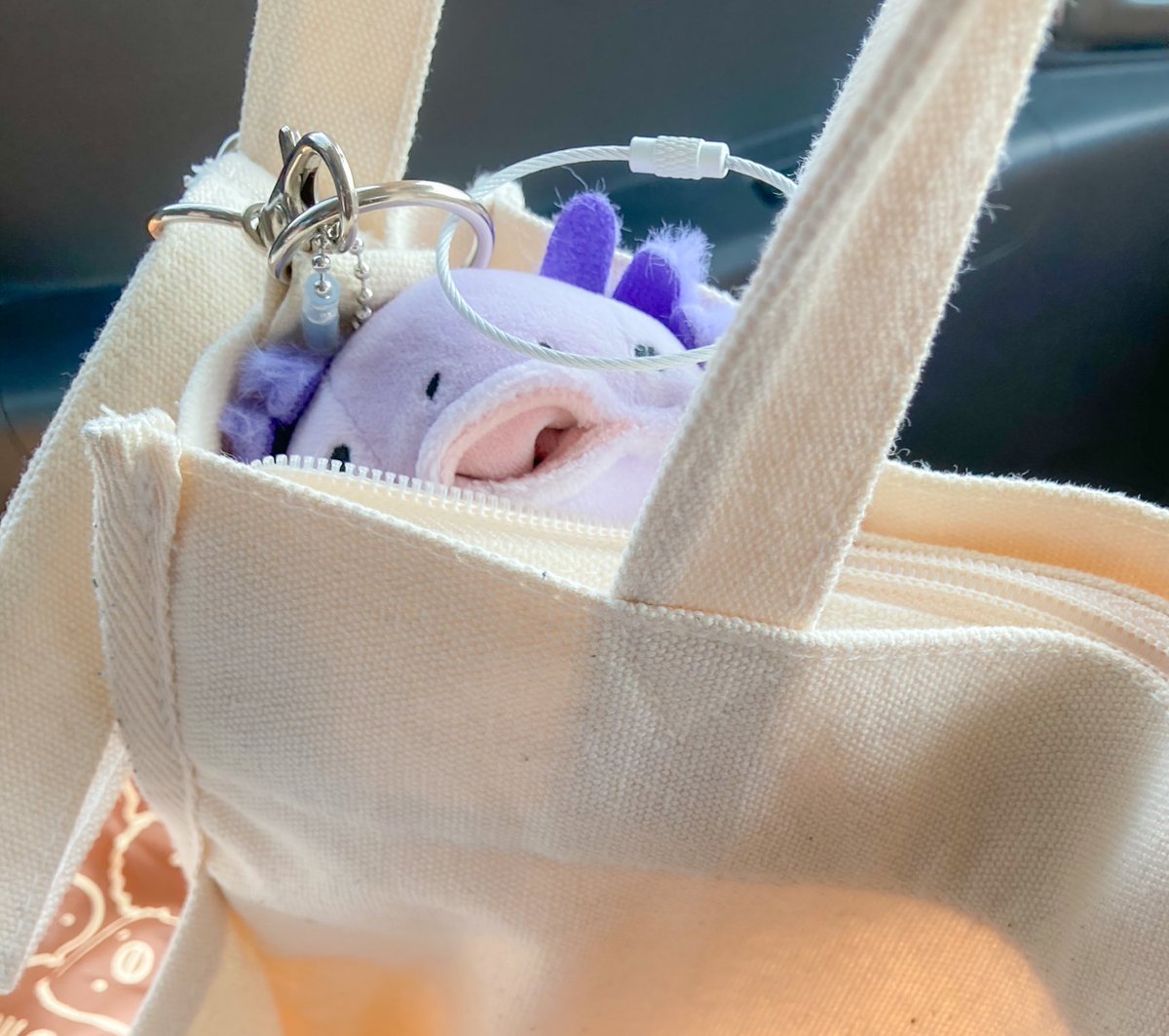 買い物中✨
気付いたらカバンから
自己主張してた さぶろー

#もちうぱ