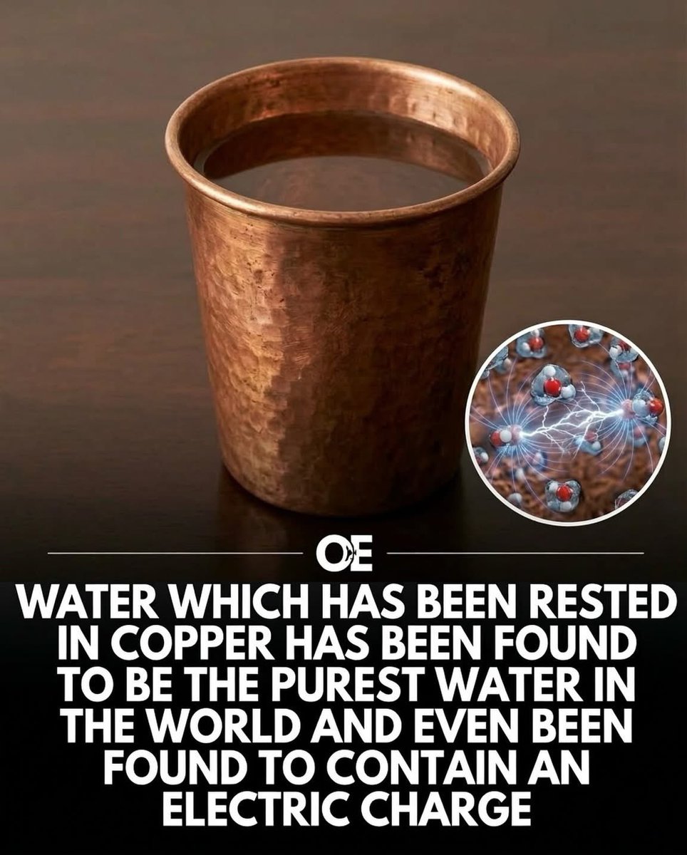 话梅女人 tweet media