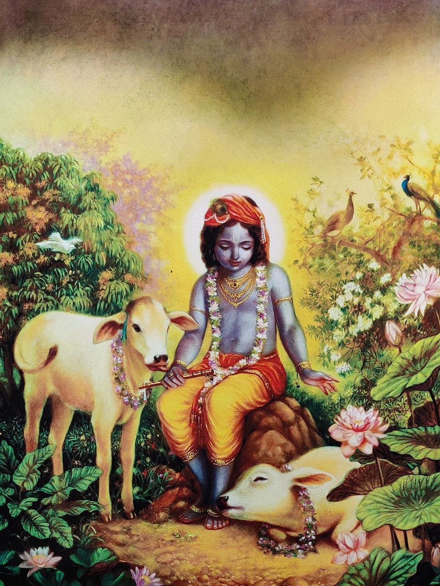 thiahgom tweet media