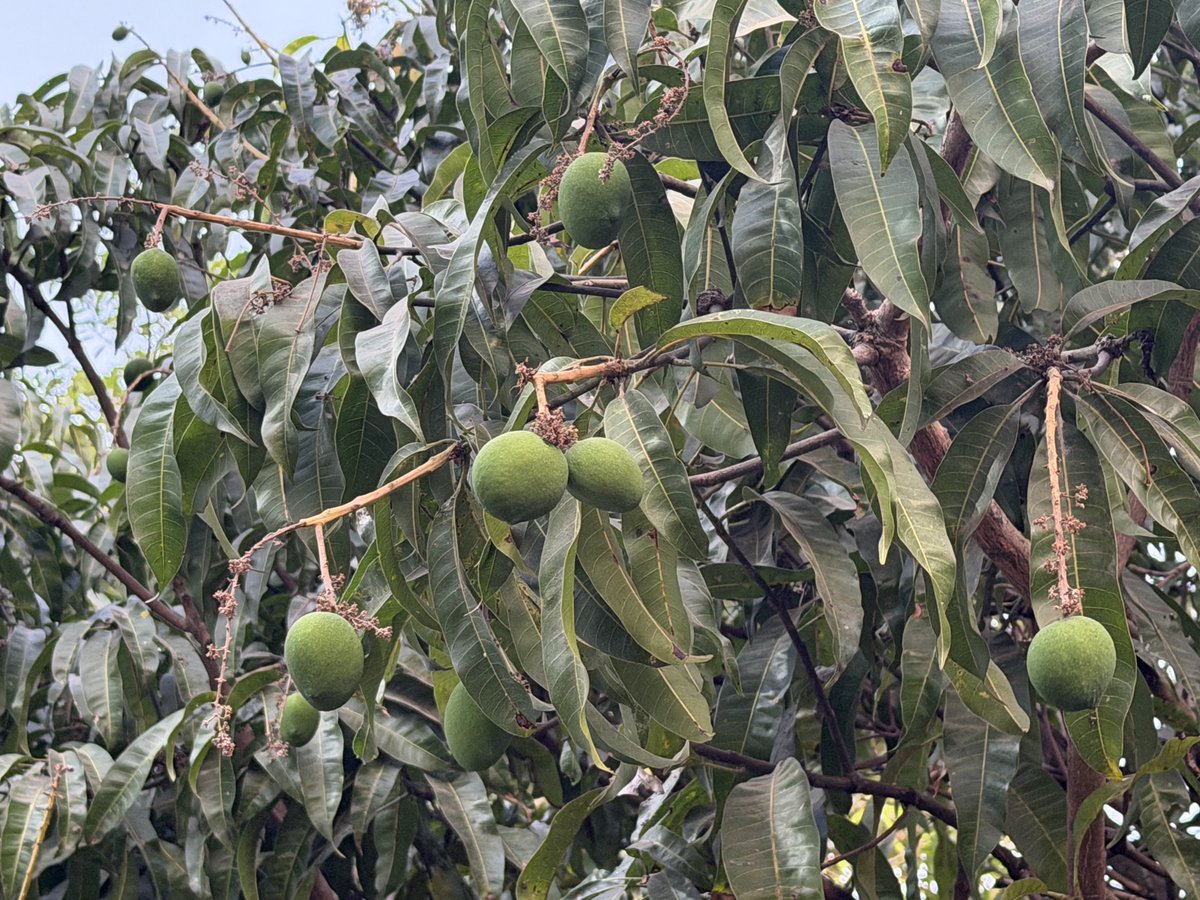 Hari Prasad Nadig tweet media