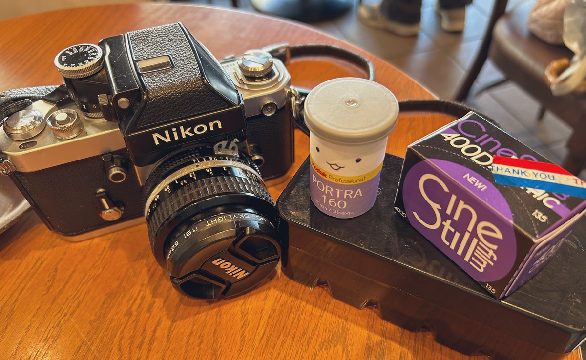 Rinco Koyama / 写真家兼占い師 tweet media