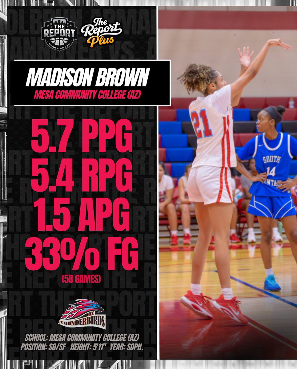 Jason Fleegle tweet media