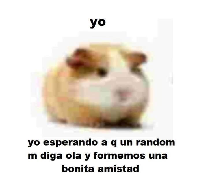 anoholics's tweet photo. ⠀
 ⠀:¨ ·.· ¨:⠀@anoholics
⠀  `· .  yuzuri ﹒ 22 ﹒ she her
⠀⠀✚ ₊⠀buscando mutis !

 ﹒ interactuo mucho si MELON MUSTIO ME DEJA
 ﹒ hxh, gachiakuta, nana, pjsk, alnst, jjk, snk, csm, madoka, RE, pokemon, etc

⠀♡︎/⟳ = mutis para siempre
#animetwt #anitwt #promotwt
⠀ https://t.co/Ki0TGZNmTx
