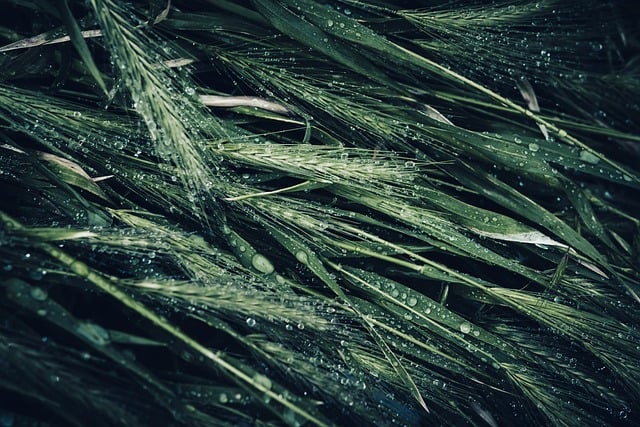 Tony Goodrich tweet media