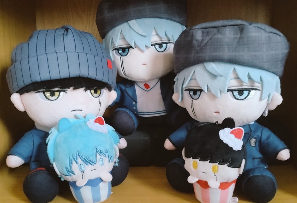 カプぬいちゃん可愛いね😊奥の👑くんが寂しそうだわ😂