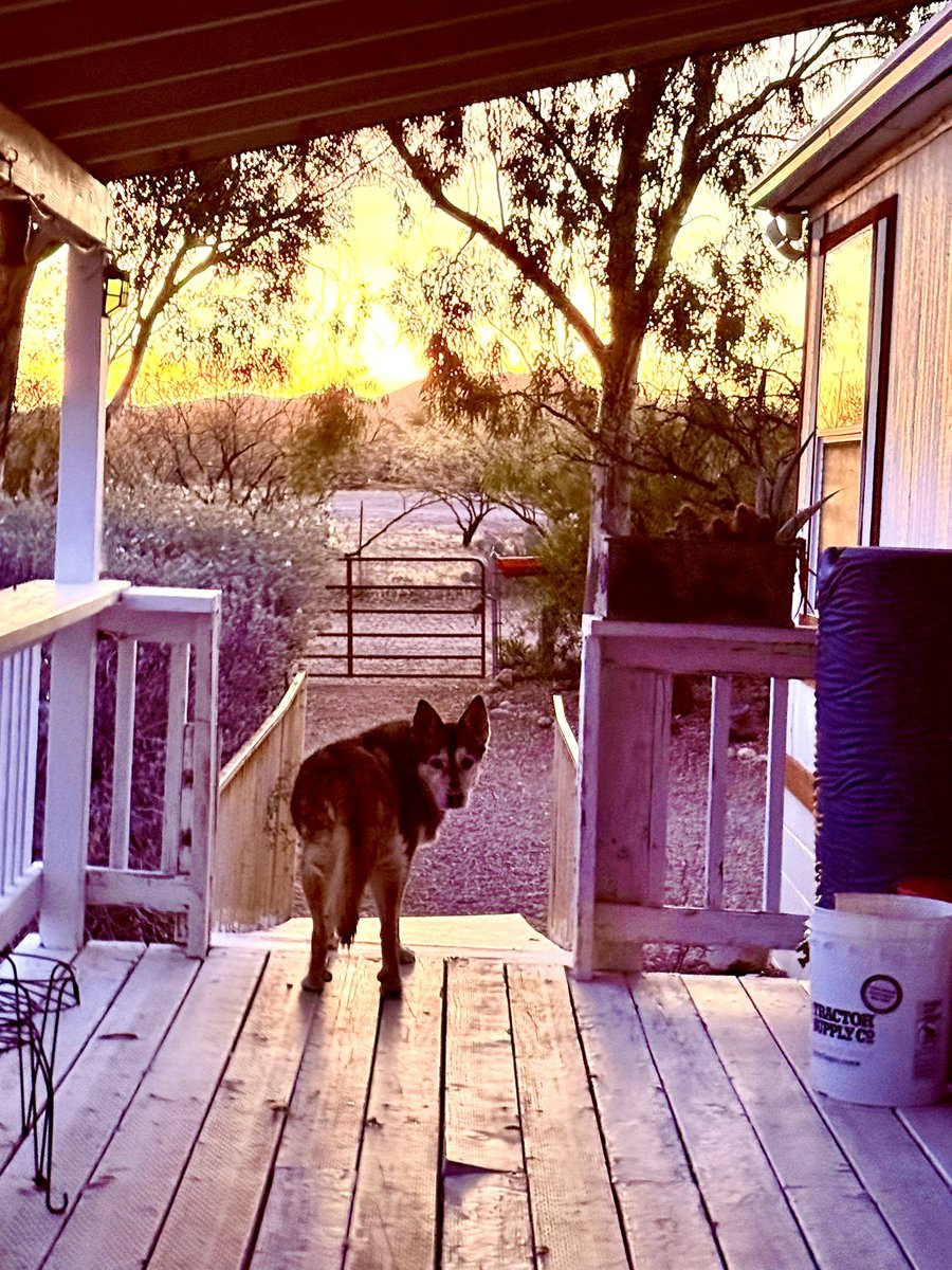 David Kendall Grant tweet media