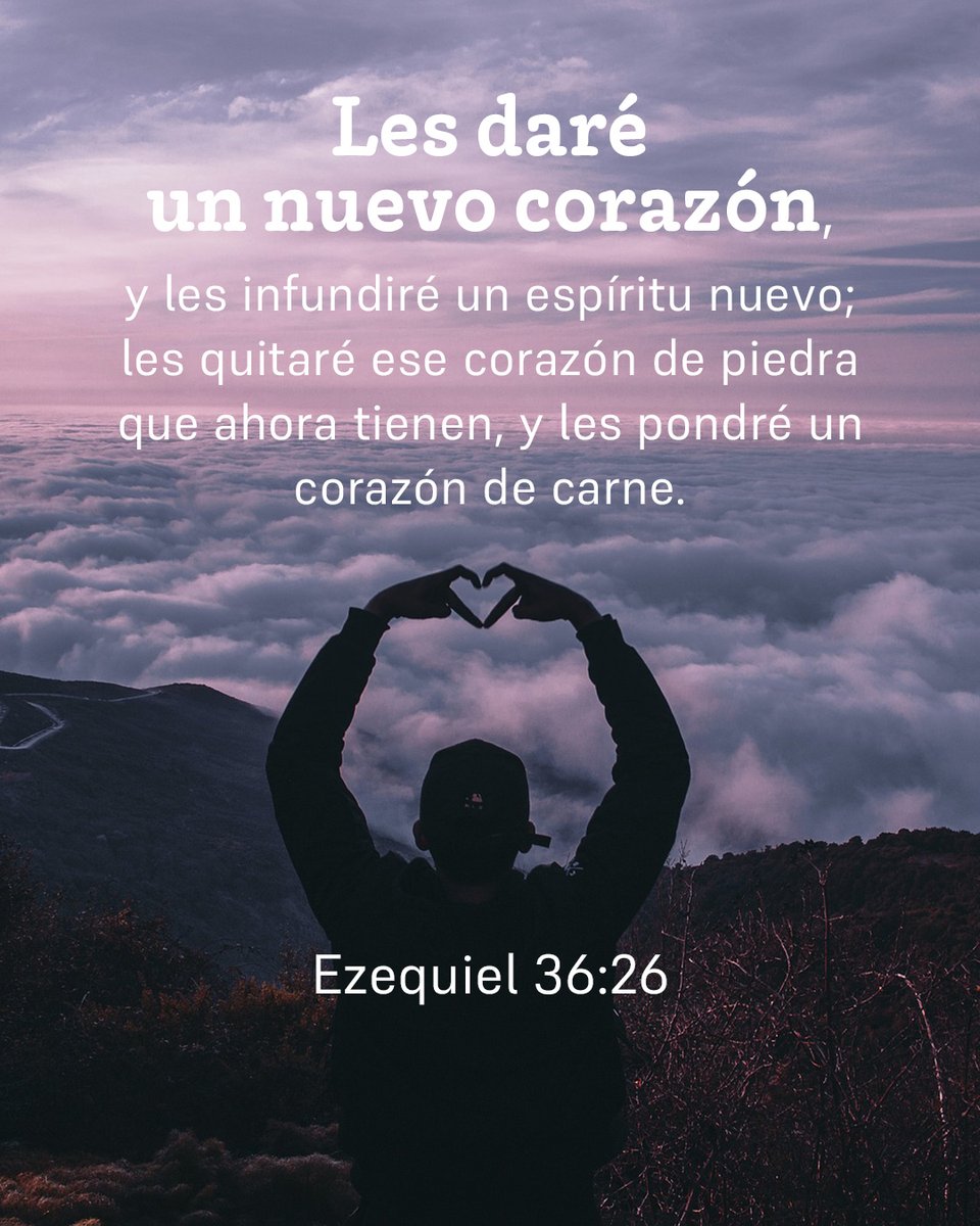 Cerca Está tweet media