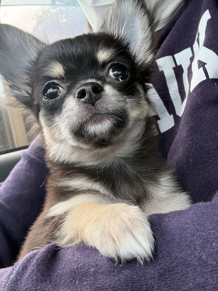 HAる【FFL】 tweet media