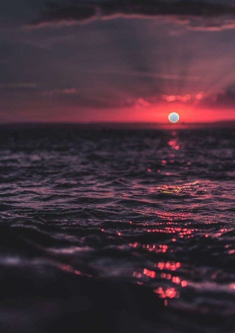 Aesthetics tweet media