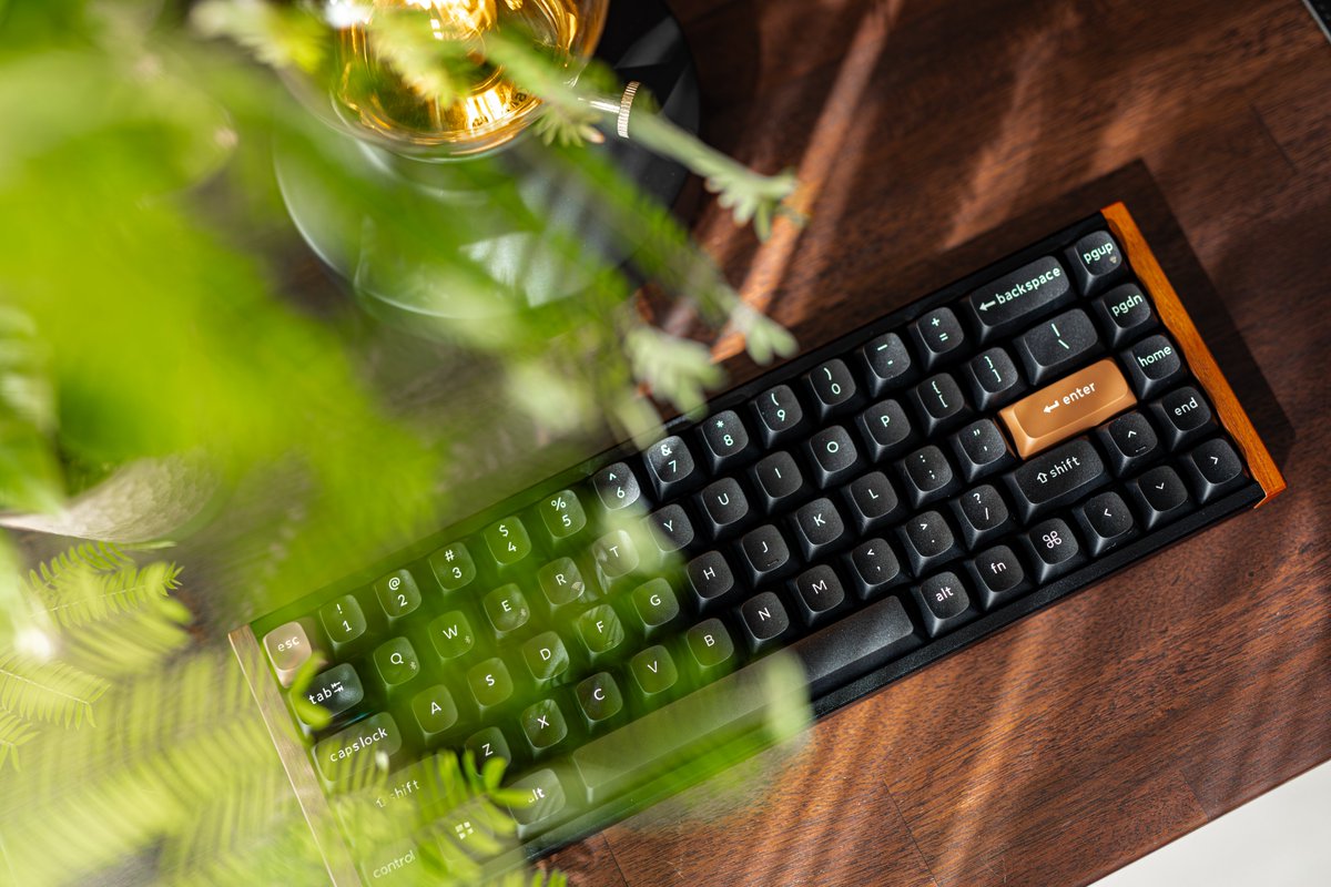 ぶらっく tweet media