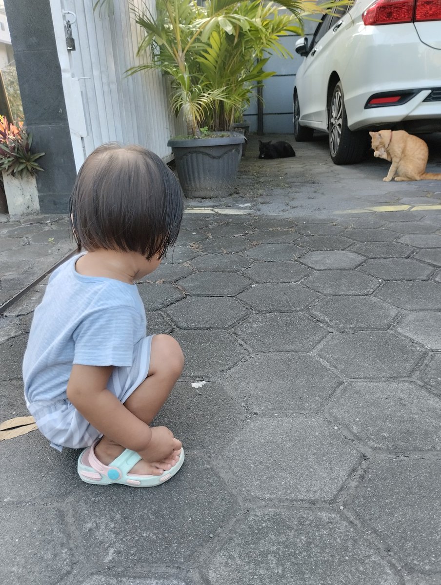 fazulfalaaa's tweet photo. Putri kecilku si pecinta kucing 🥰 https://t.co/B1w44qXw9S