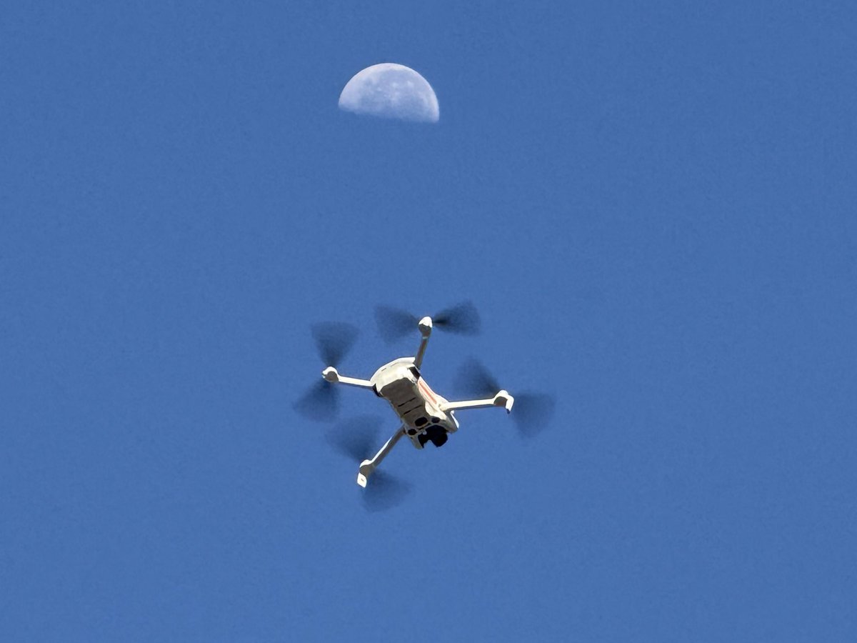 Greg Pitt tweet media