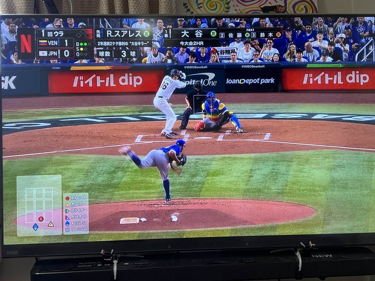 ノボジーン（公式）「ノボちゃん」と呼んでください！ tweet media