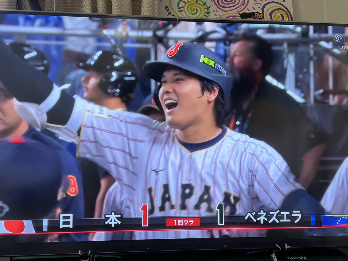 ノボジーン（公式）「ノボちゃん」と呼んでください！ tweet media