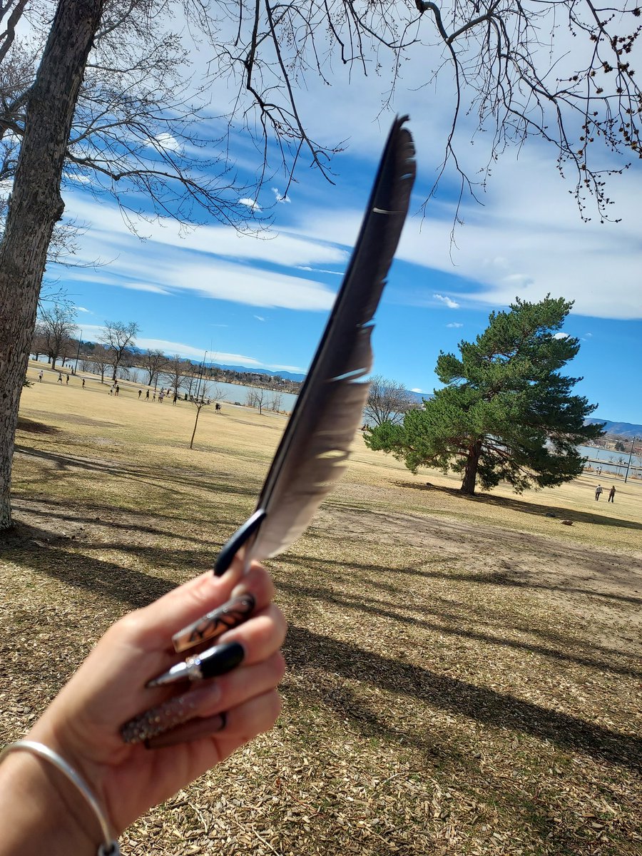 BtrFli ~ La Mariposa🦋 tweet media