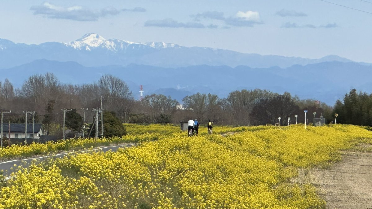 TK RoadBiker tweet media