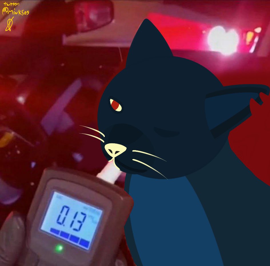 Minks! :3 tweet media