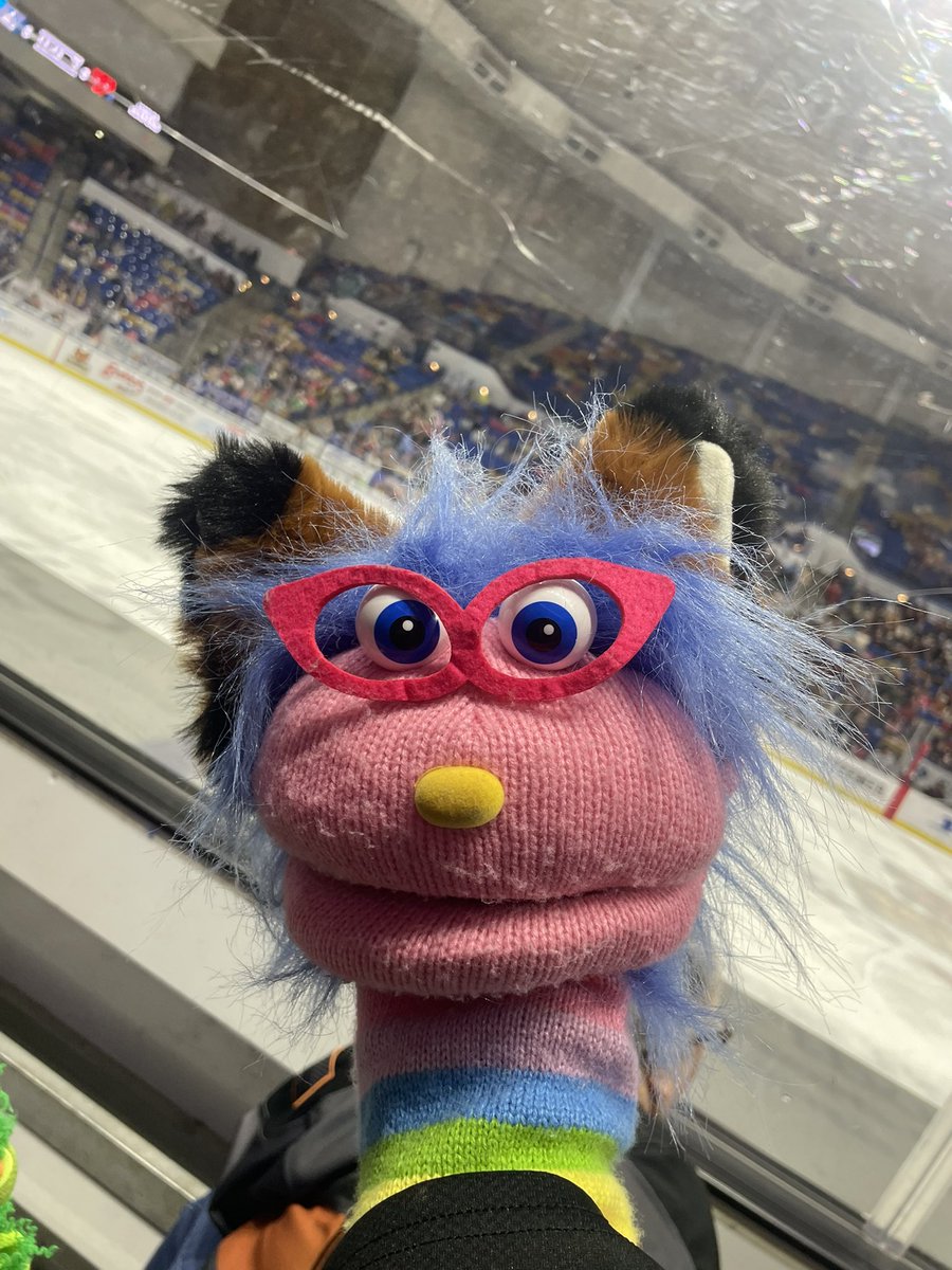 z - adrien🏒✌️ tweet media
