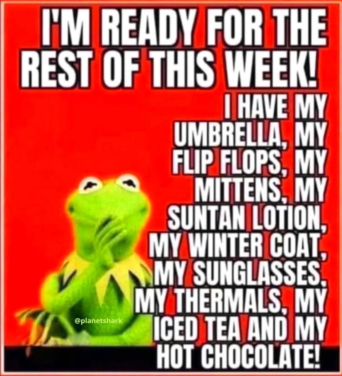 Janet’s spring break wasn’t long enough tweet media