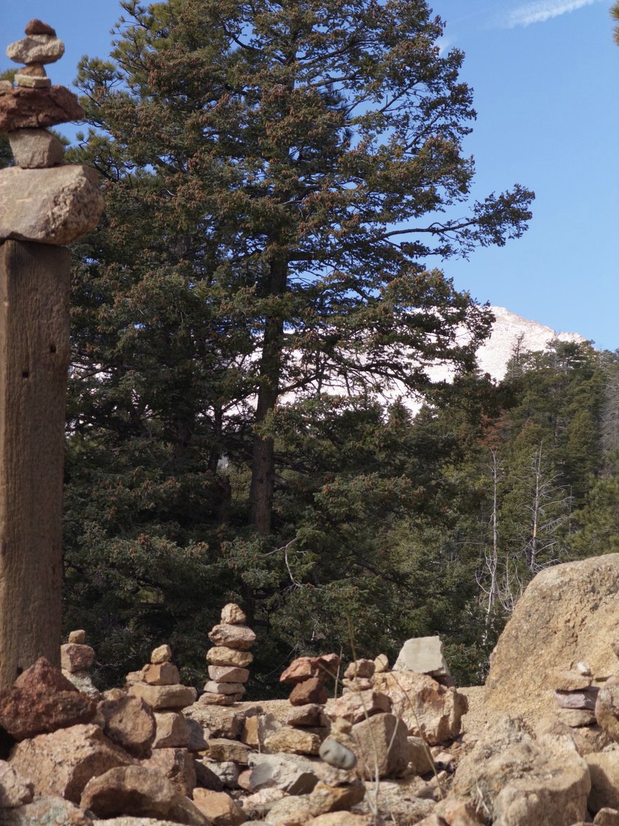 b divided by zero = c trust me tweet media