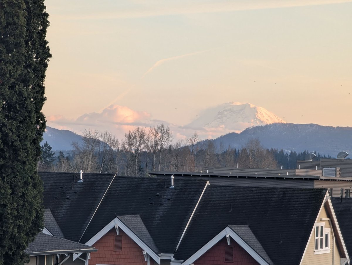 Sandy Horne tweet media