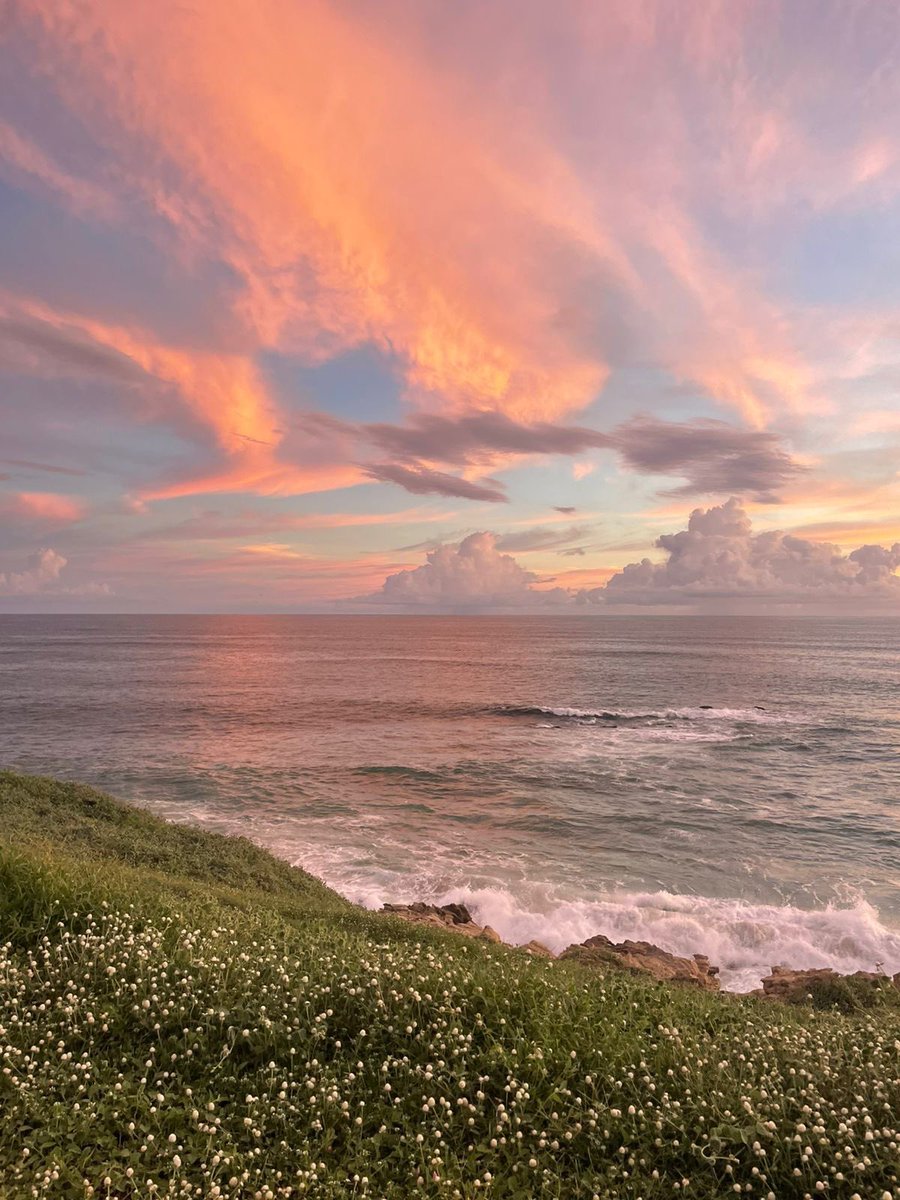 The crafts tweet media