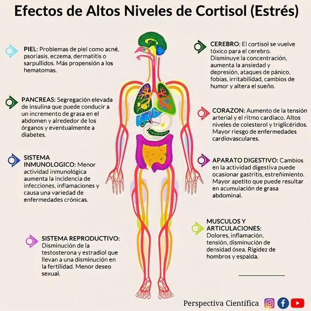 Despertar tweet media