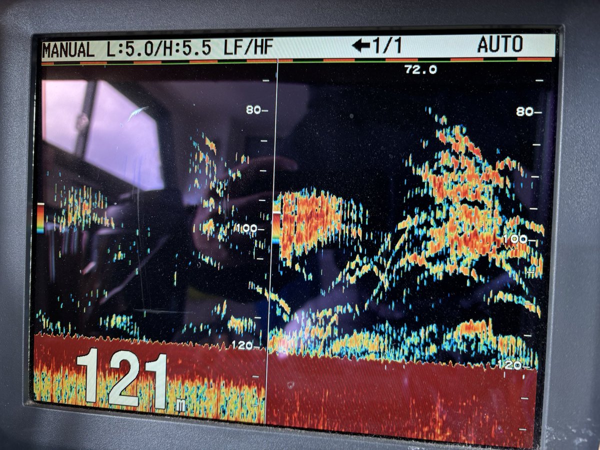 小林俊輝【里輝丸RIKIMARU若船長】 tweet media