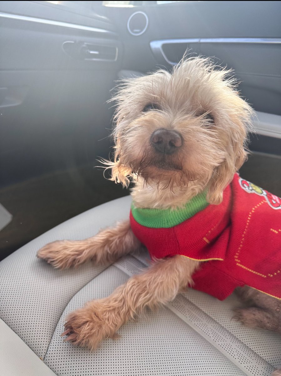 jerrod k andrade tweet media