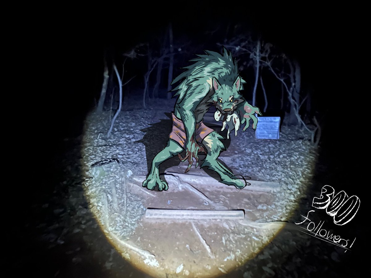 플러피🌕🐺 tweet media