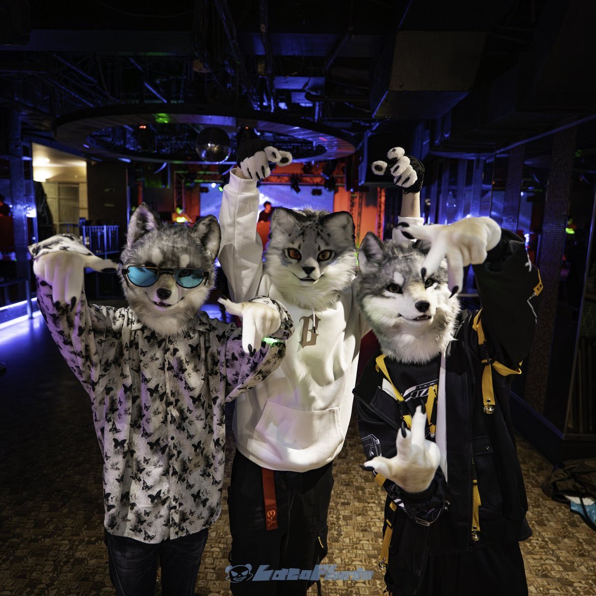 🔰フィクサー/FiXer▶️kemocon▶️獣身売買4▶️jmof tweet media