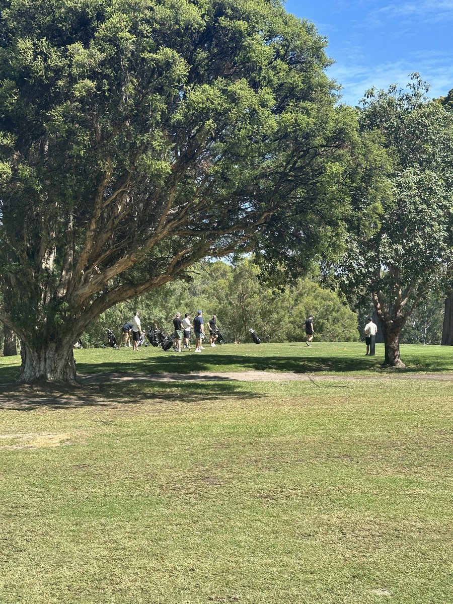 Damien Ractliffe tweet media