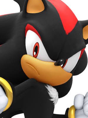 “Sorry Shadow. The only chaos I control is around here”
