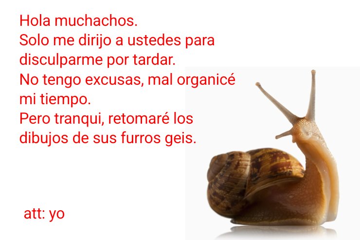 ✷⁠ᗪᑌ᙭OᑕᕼOᑎ✷⁠ tweet media