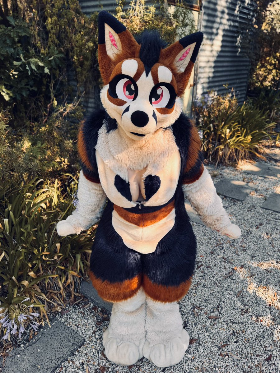 Riley 🇦🇺 tweet media