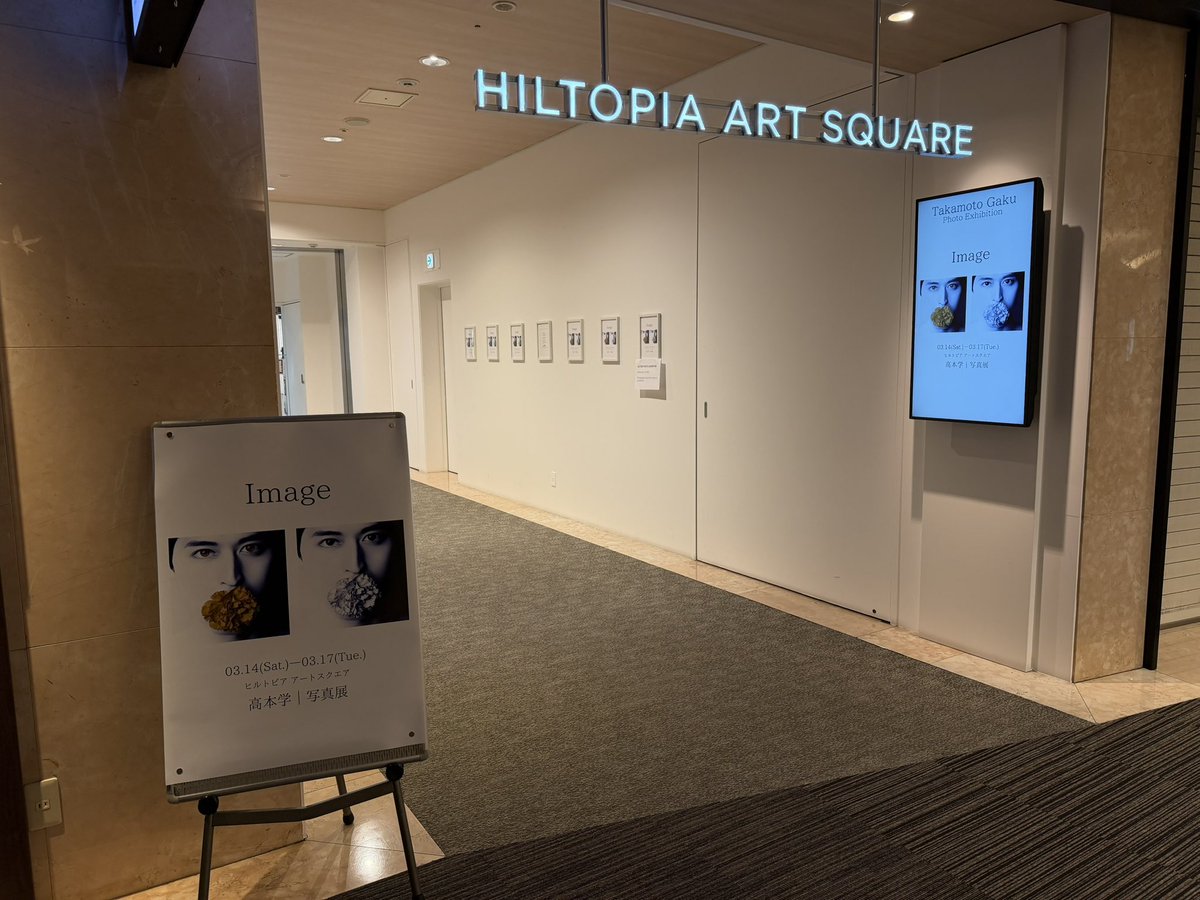 高本学STAFF(公式) tweet media