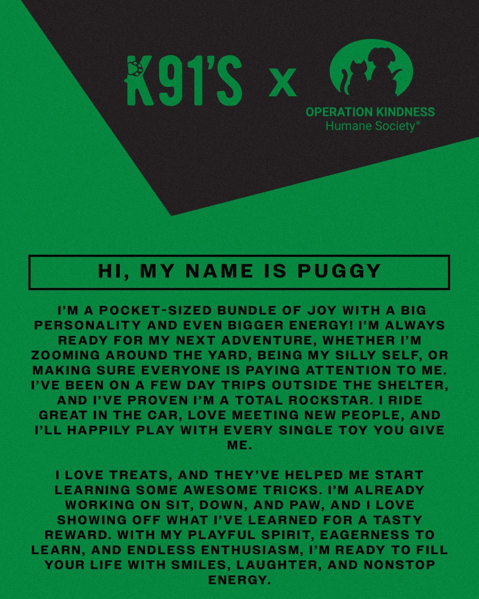 Dallas Stars Foundation tweet media