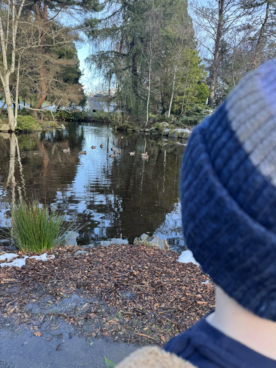 4eyedmonkey 🤓😎🥸 tweet media